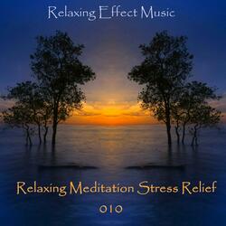 Calm Relaxing Meditation Stress Relief 010