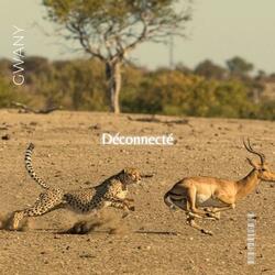 Déconnecté