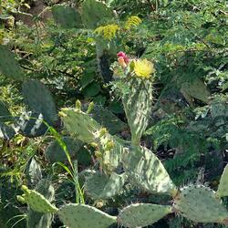 Alles Was Schön Ist