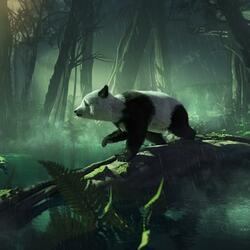 Panda Clap
