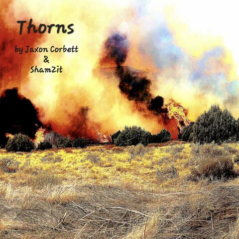 Thorns (feat. ShamZit)