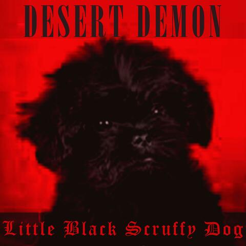 Little Black Scruffy Dog