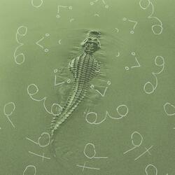 ALLIGATOR (feat. old collin)