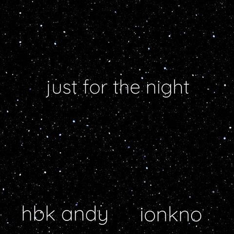 Just For The Night (feat. ion kno)