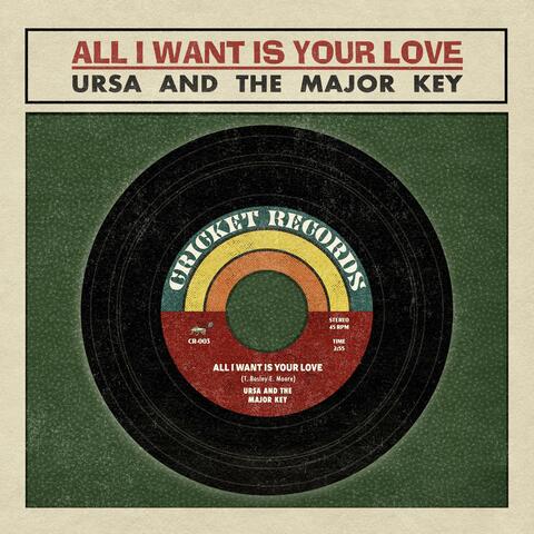 All I Want Is Your Love