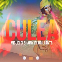 Culea (feat. Shainy El Brillante)