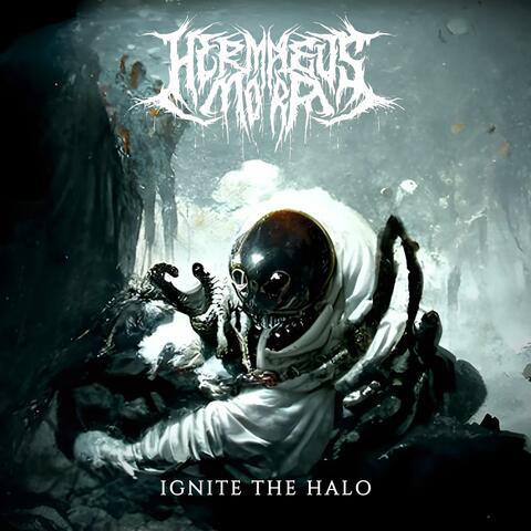 Ignite The Halo