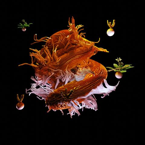 Shangri La