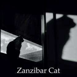 Counting the Cats in Zanzibar