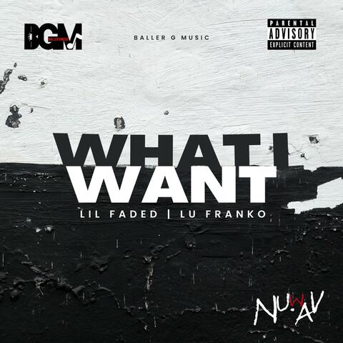 What I Want (feat. Lu Franko)