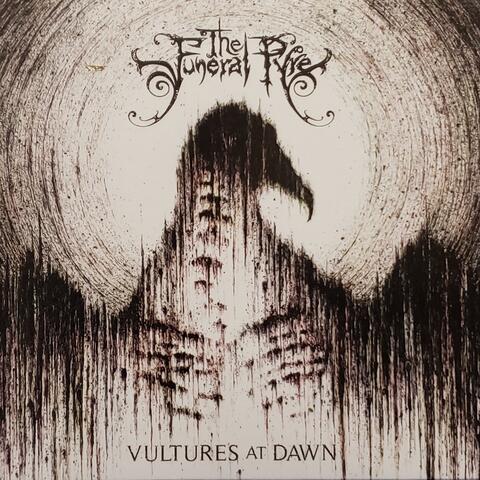 Vultures At Dawn
