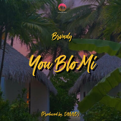 You Blo Mi