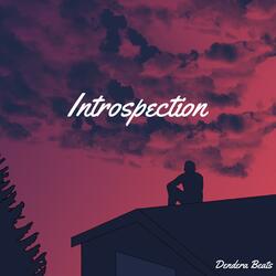 Introspection