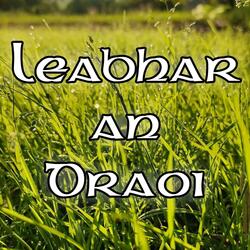 Leabhar an Draoi