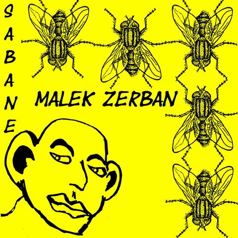 Malek Zerban
