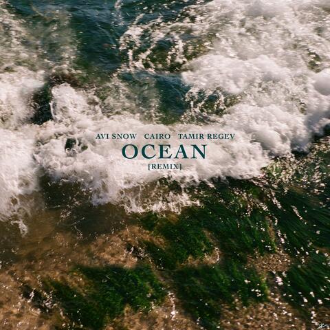 Ocean (Remix)