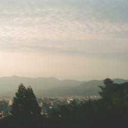 light leaks