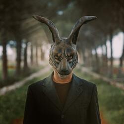 Hare
