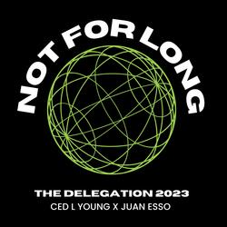 Not For Long (feat. Juan Esso)