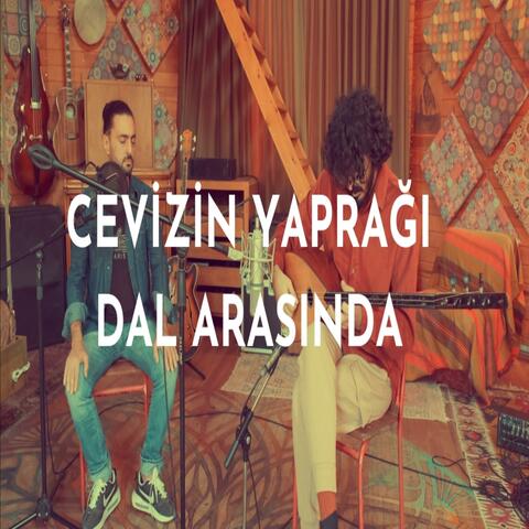 Cevizin Yaprağı Dal Arasında (feat. Muhlis Berberoğlu)