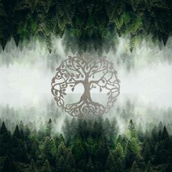 Into The Elven Woods | The Voice Of The Forest (Gaia Meditation)