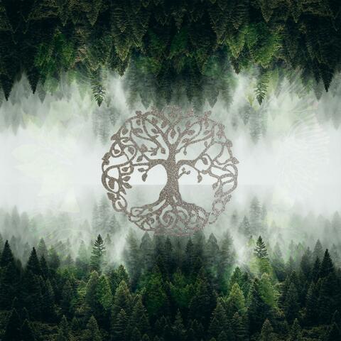 Hedge Witch Ambient Meditation (Elven Voices & Drone)