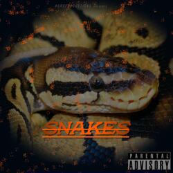 Snakes (feat. Inchantis)