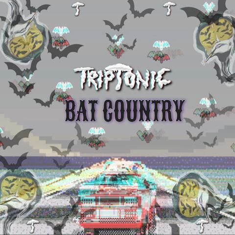 BAT COUNTRY