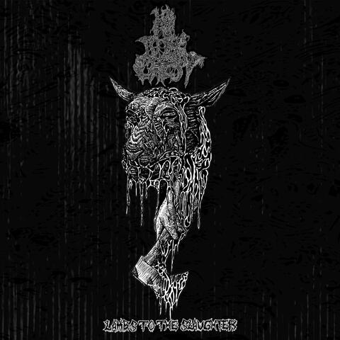 LAMBS TO THE SLAUGHTER