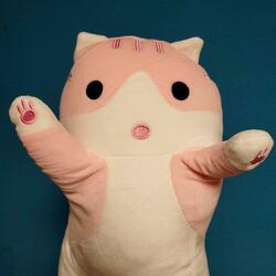 90 cm-Katze
