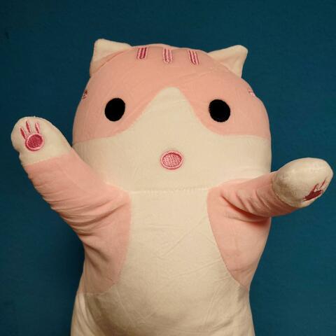 90 cm-Katze