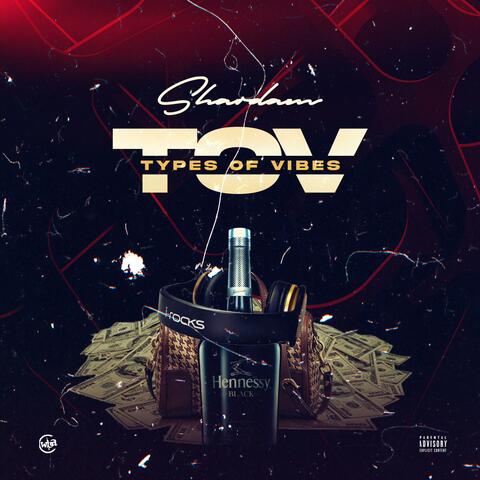 T.O.V (Types of Vibes)