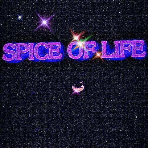 SPICE of LIFE