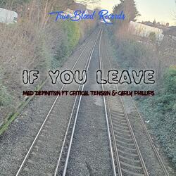 If You Leave (feat. Critical Tension & Carly Phillips)