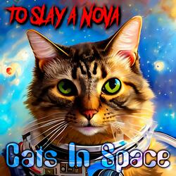 Cats In Space