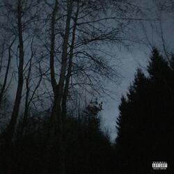 all alone. (feat. Conniex)