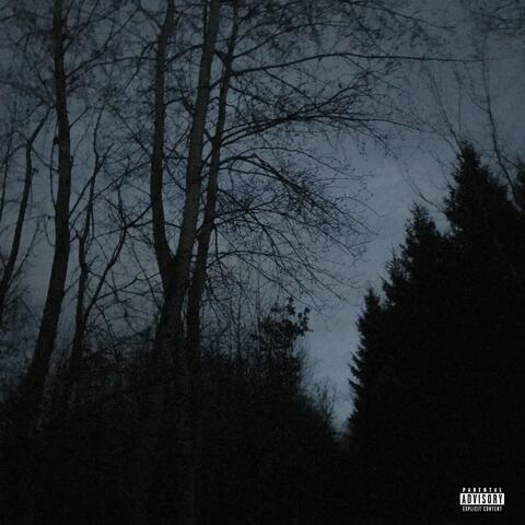 all alone. (feat. Conniex)