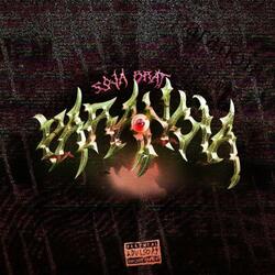 paranoia (feat. Sojabrat)