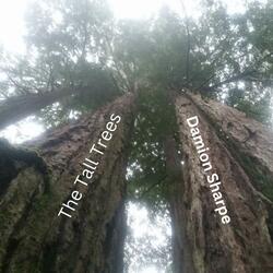 The Tall Trees
