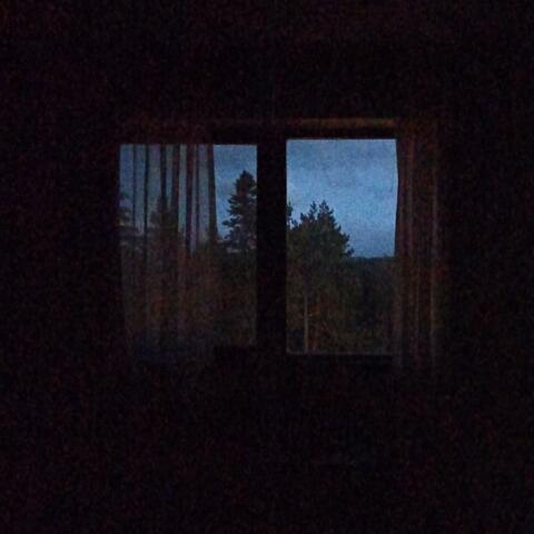 Dawn