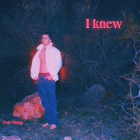 I knew (I liked you)