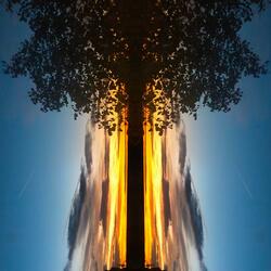 treehouse