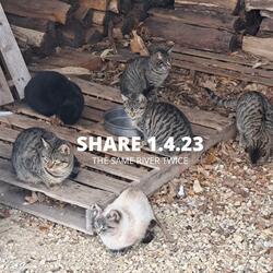 Share 1.4.23