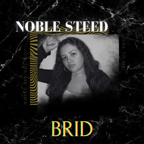 Noble Steed