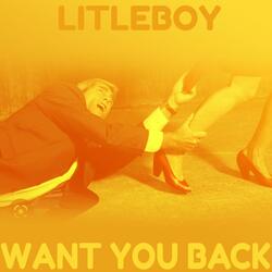 Want You Back