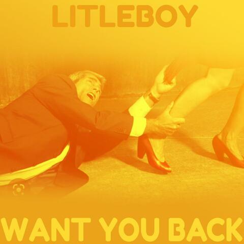 Want You Back