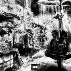 Married To The Music