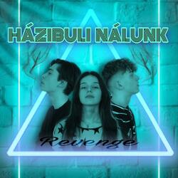 Házibuli Nálunk (feat. Kiss Bodza)