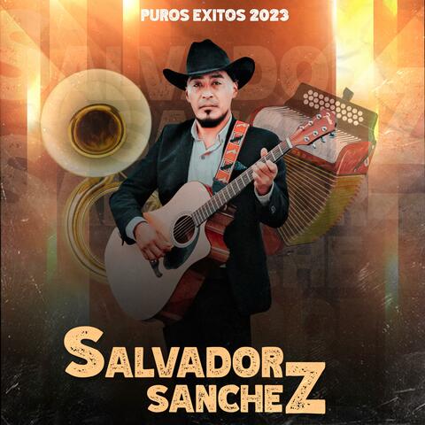Puros Exitos 2023