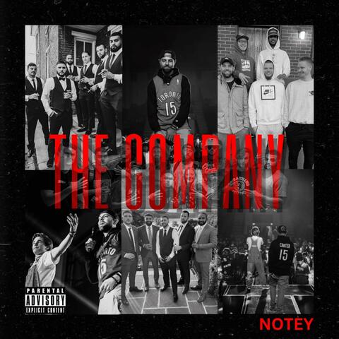 THE COMPANY